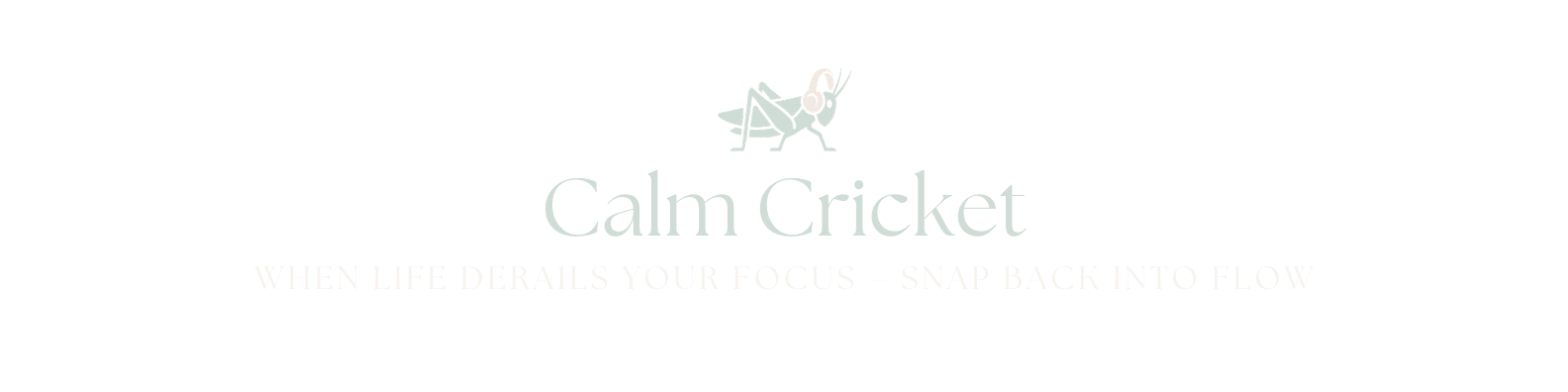 Calm Cricket - YWhen life derails your focus – Snap back into flow